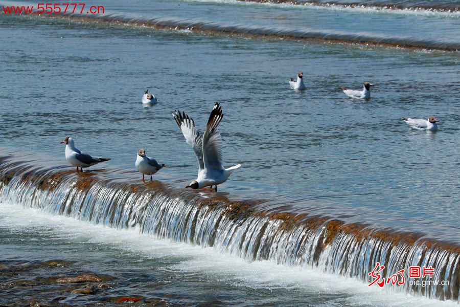 【绿水青山“瞰”中国之太空影像篇】青海湖：“高原蓝宝石”的华丽“蝶变”